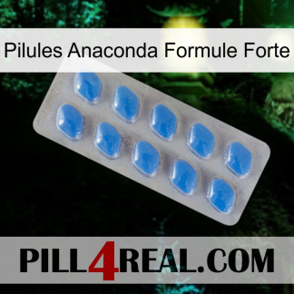 Anaconda Strong Formula Pills 22